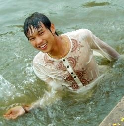wet Thai companion
